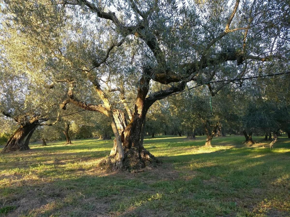 Agriturismo La Villetta San Lorenzo Nuovo Екстериор снимка