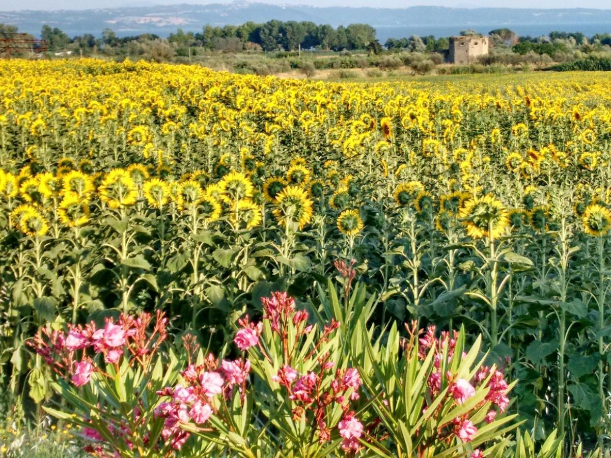 Agriturismo La Villetta San Lorenzo Nuovo Екстериор снимка