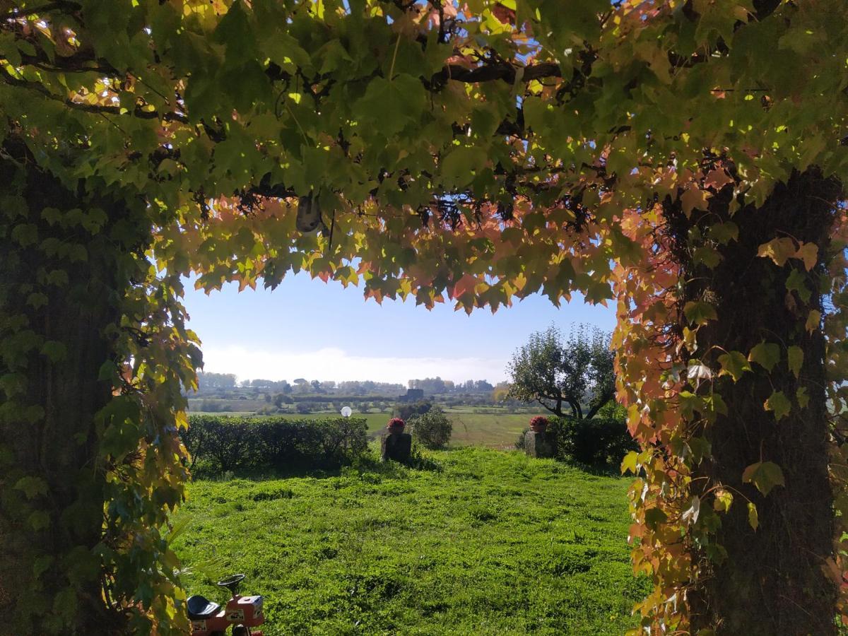 Agriturismo La Villetta San Lorenzo Nuovo Екстериор снимка