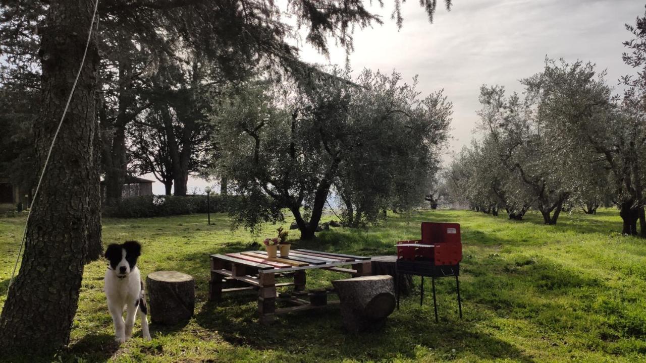 Agriturismo La Villetta San Lorenzo Nuovo Екстериор снимка