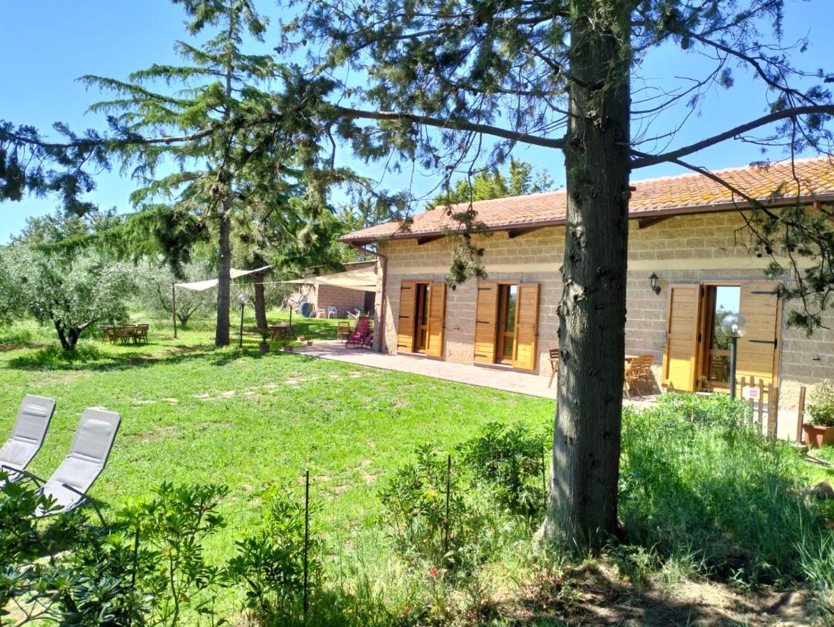 Agriturismo La Villetta San Lorenzo Nuovo Екстериор снимка