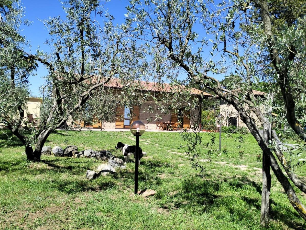Agriturismo La Villetta San Lorenzo Nuovo Екстериор снимка