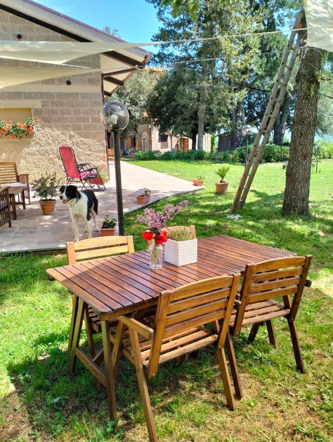 Agriturismo La Villetta San Lorenzo Nuovo Екстериор снимка